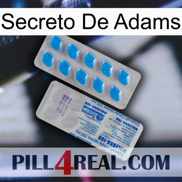 Adams Secret new15.jpg